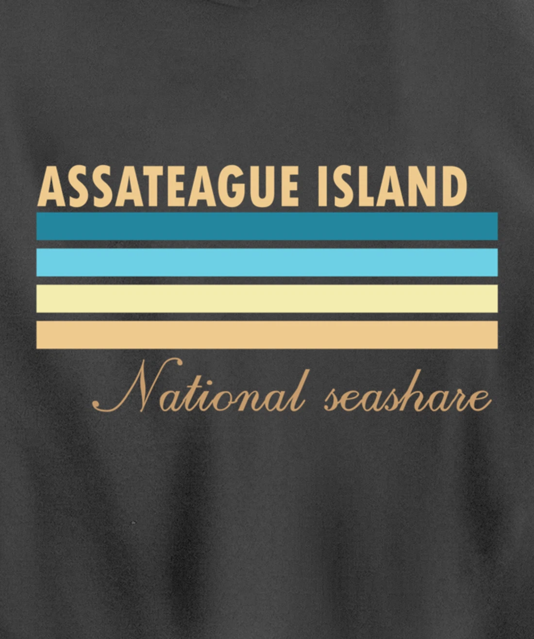 Assateague Island National Seashore Pullover Hoodie