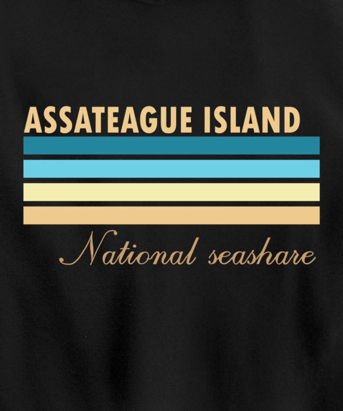 Assateague Island National Seashore Pullover Hoodie