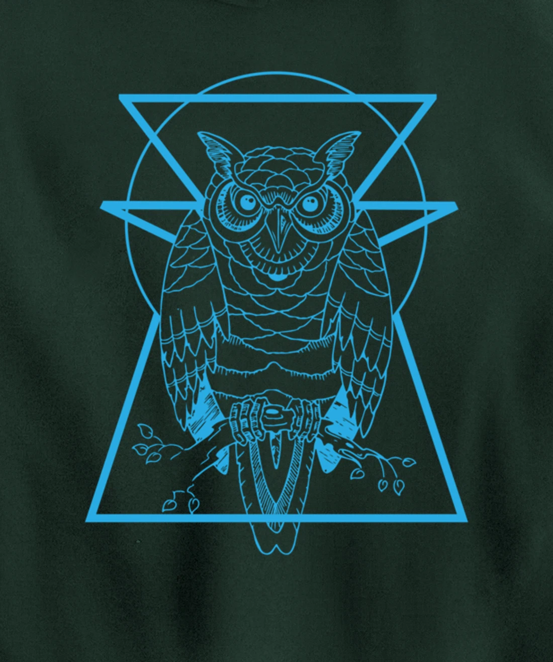 Turquoise Owl Perched With Geometric Shapes Graphic Pullover Hoodie