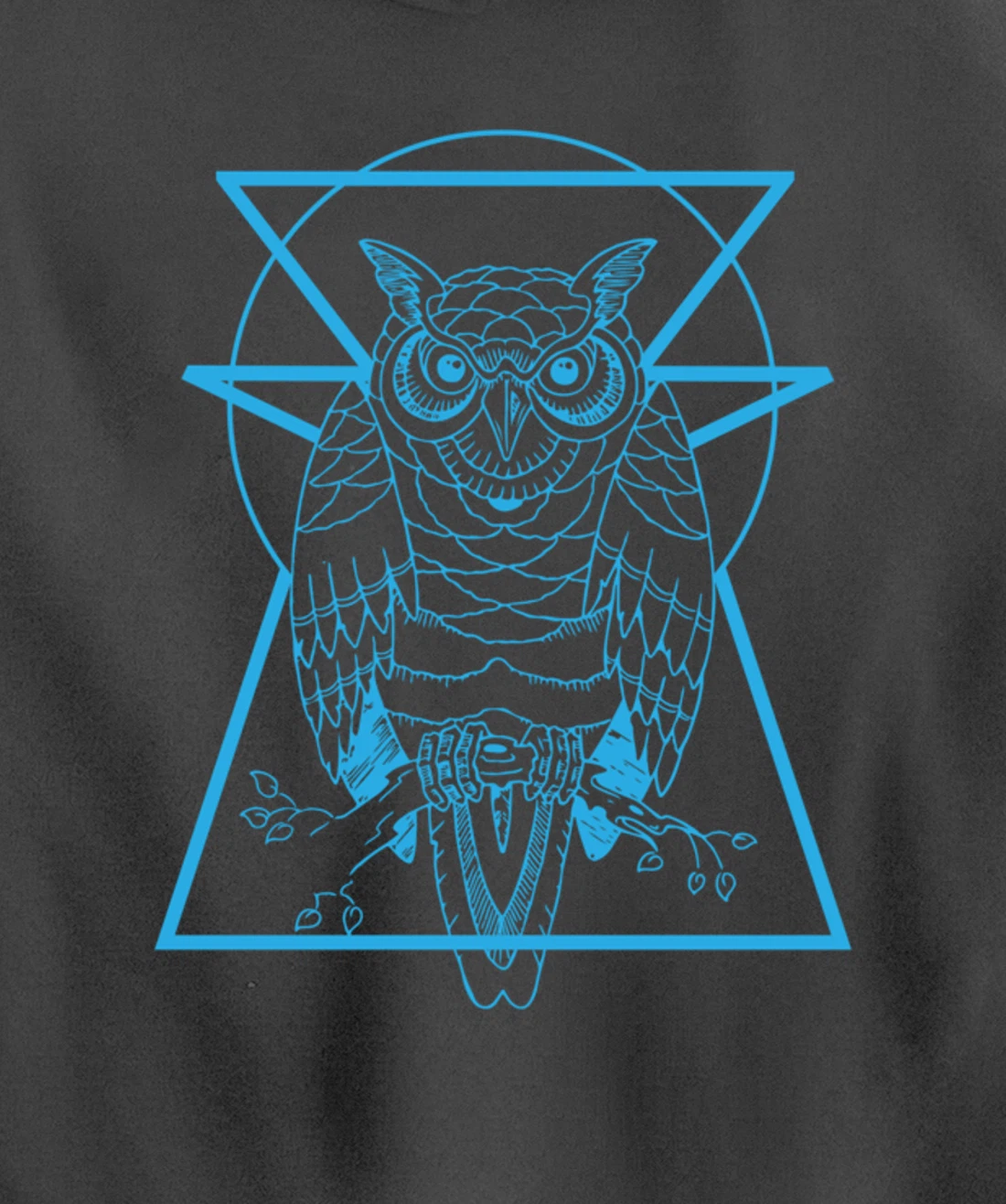 Turquoise Owl Perched With Geometric Shapes Graphic Pullover Hoodie
