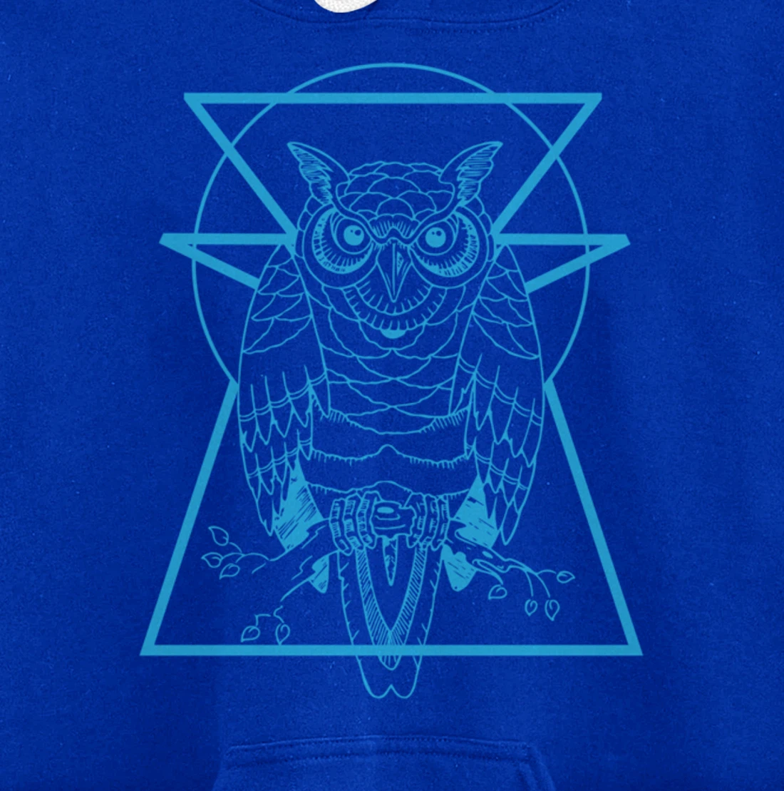 Turquoise Owl Perched With Geometric Shapes Graphic Pullover Hoodie