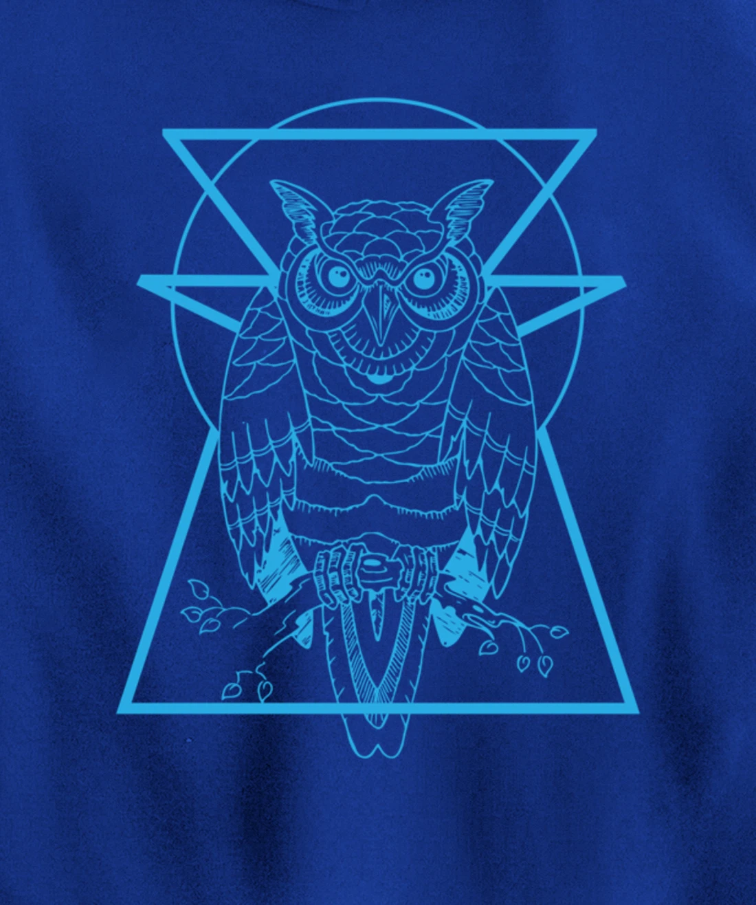 Turquoise Owl Perched With Geometric Shapes Graphic Pullover Hoodie