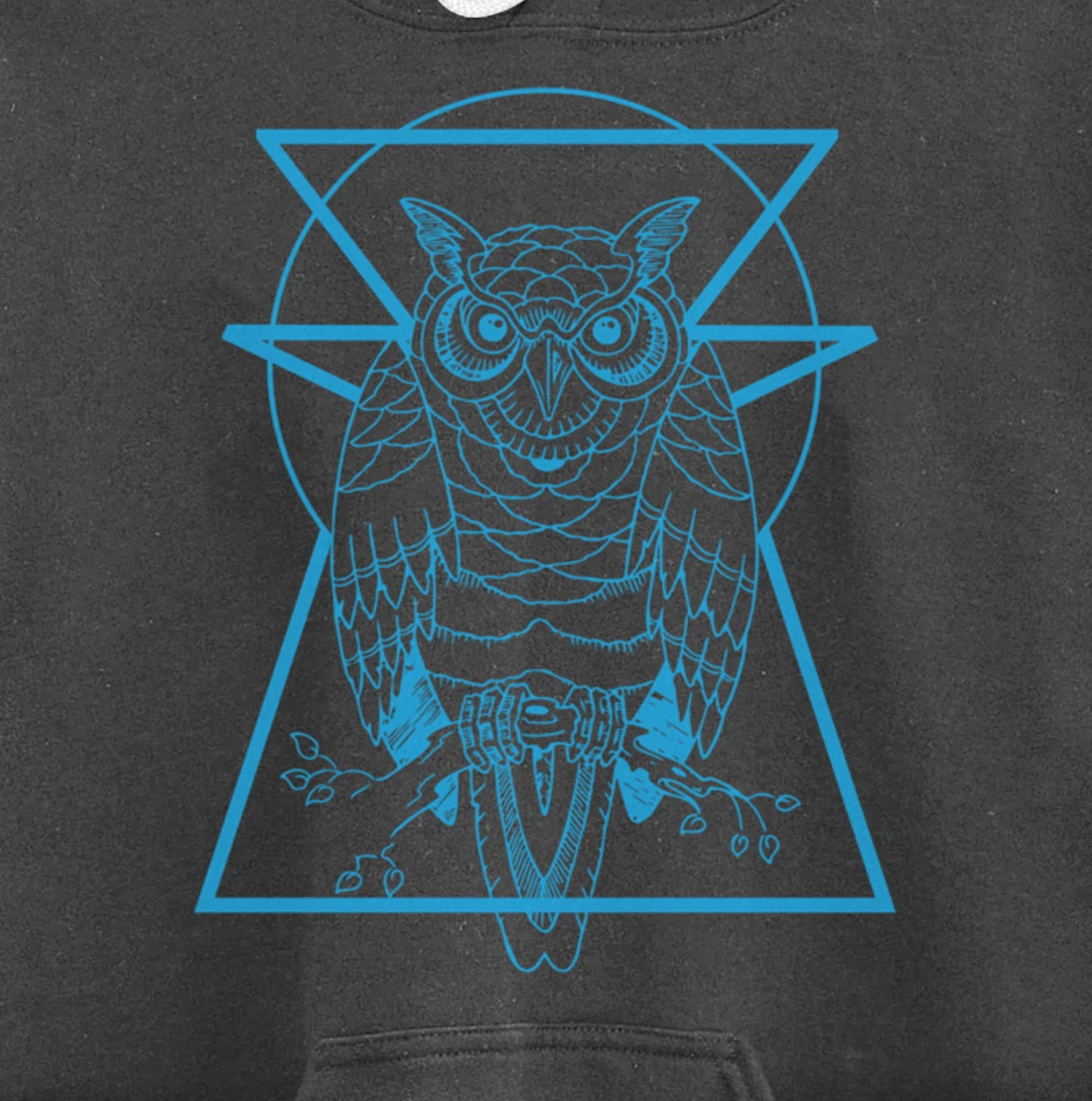Turquoise Owl Perched With Geometric Shapes Graphic Pullover Hoodie