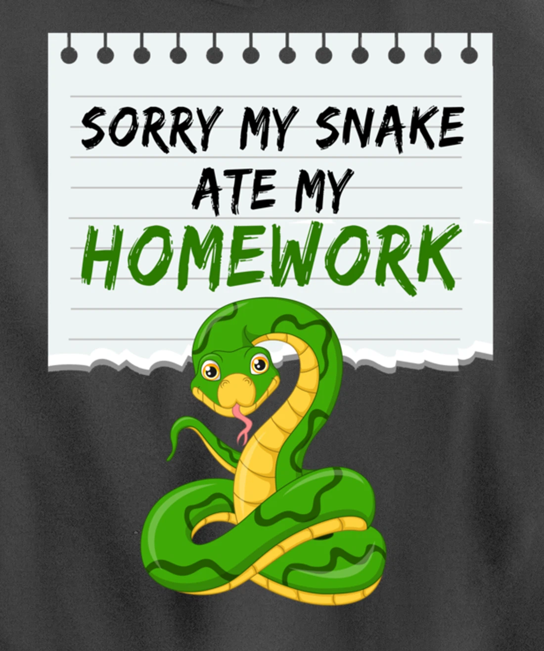 Sorry My Snake My Artwork Snake Pullover Hoodie