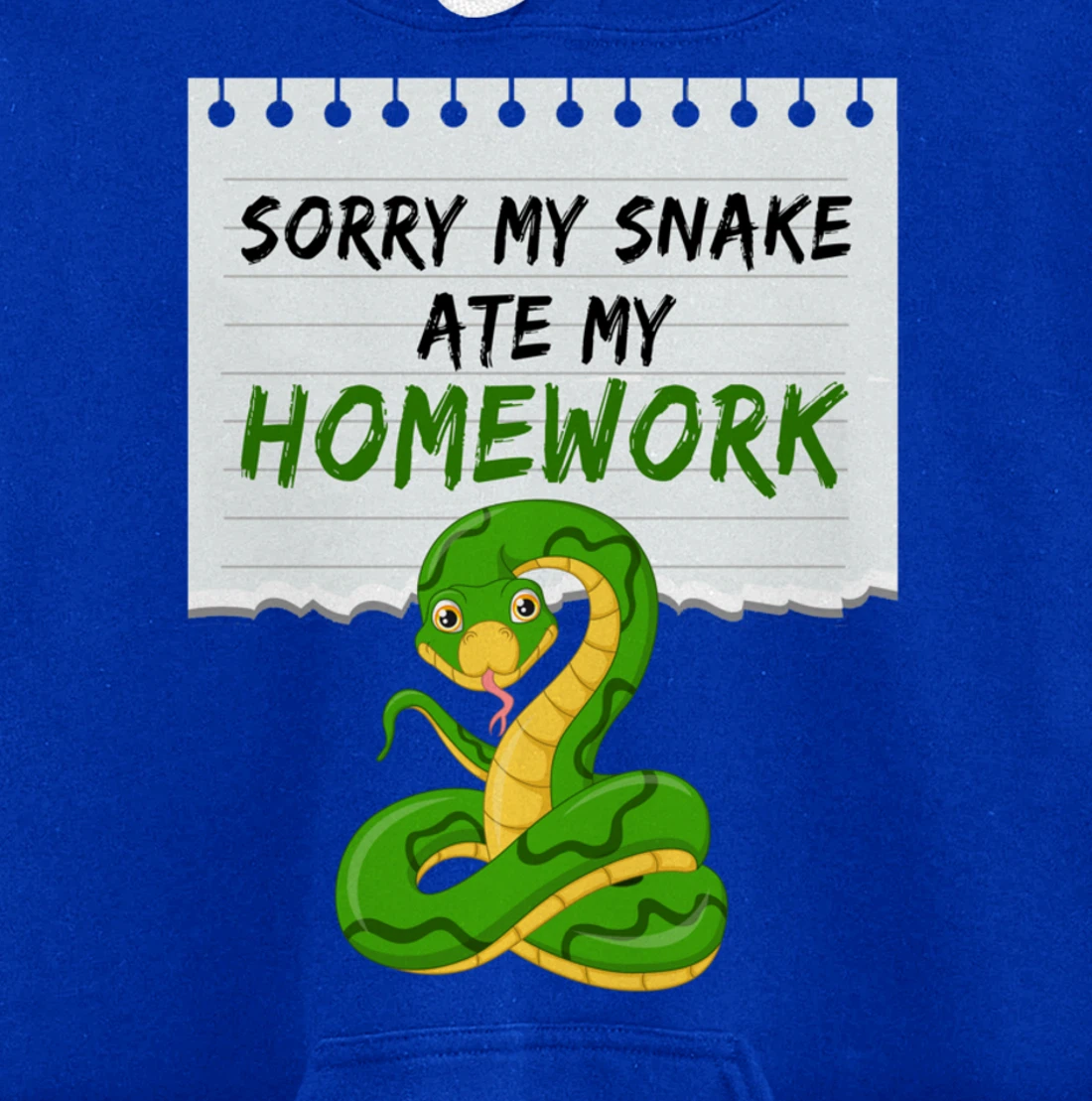 Sorry My Snake My Artwork Snake Pullover Hoodie