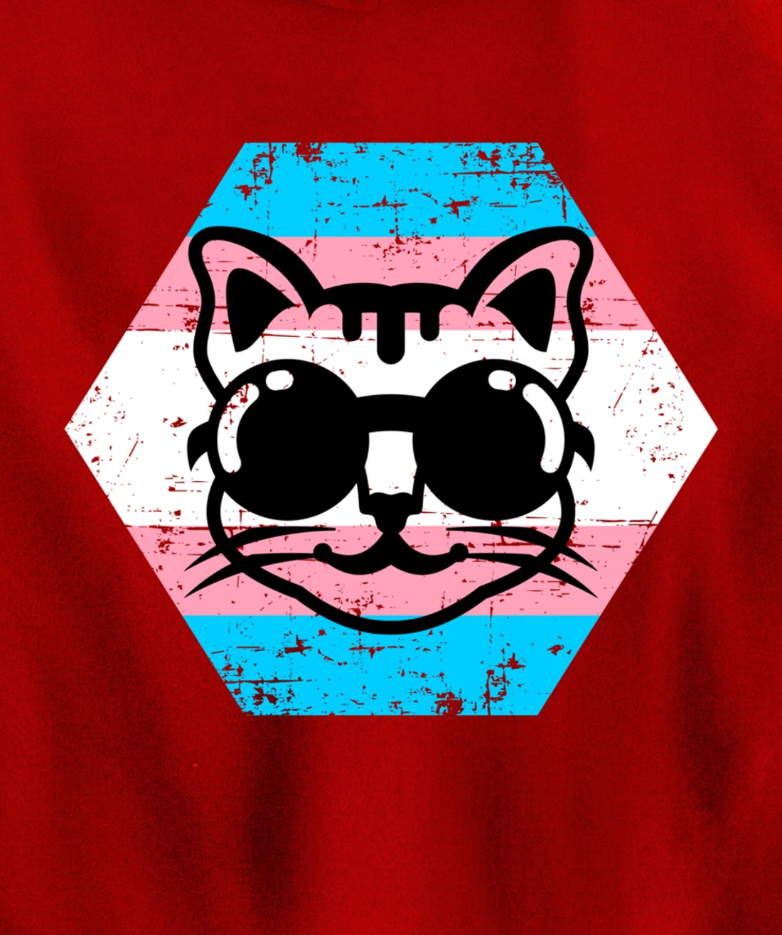 Cool Transgender Cat with Glasses Transgender Flag Pullover Hoodie