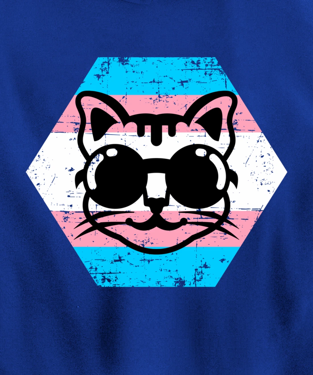 Cool Transgender Cat with Glasses Transgender Flag Pullover Hoodie