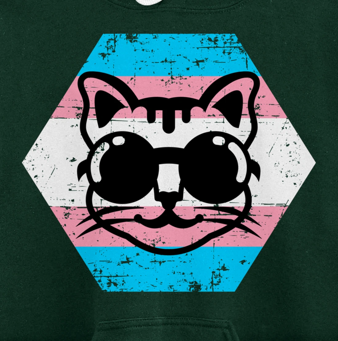 Cool Transgender Cat with Glasses Transgender Flag Pullover Hoodie