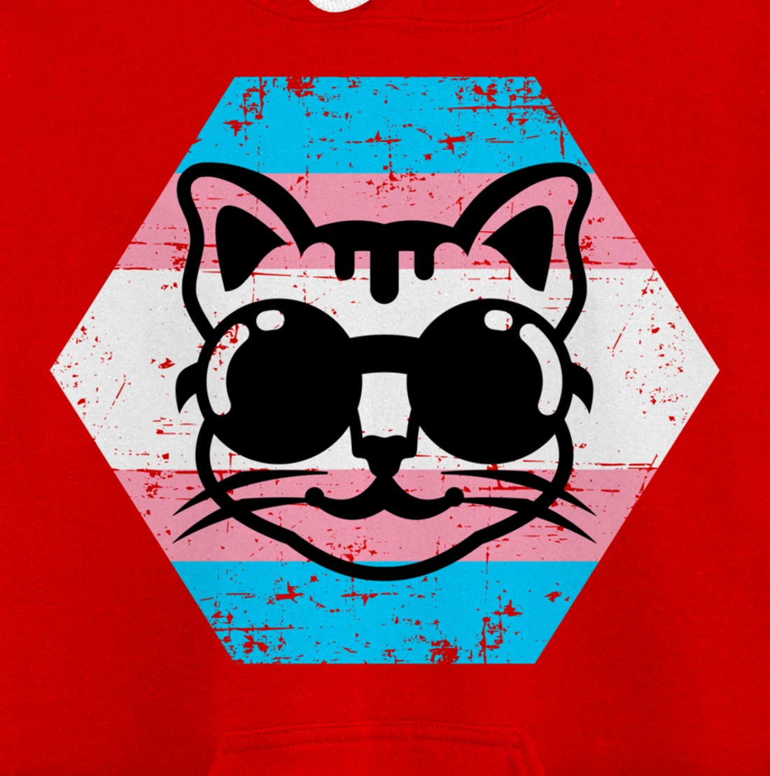 Cool Transgender Cat with Glasses Transgender Flag Pullover Hoodie