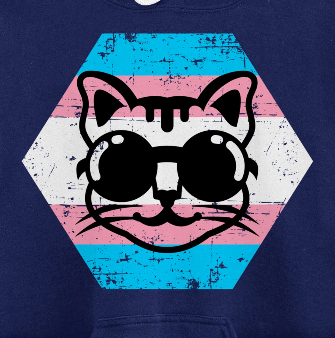 Cool Transgender Cat with Glasses Transgender Flag Pullover Hoodie