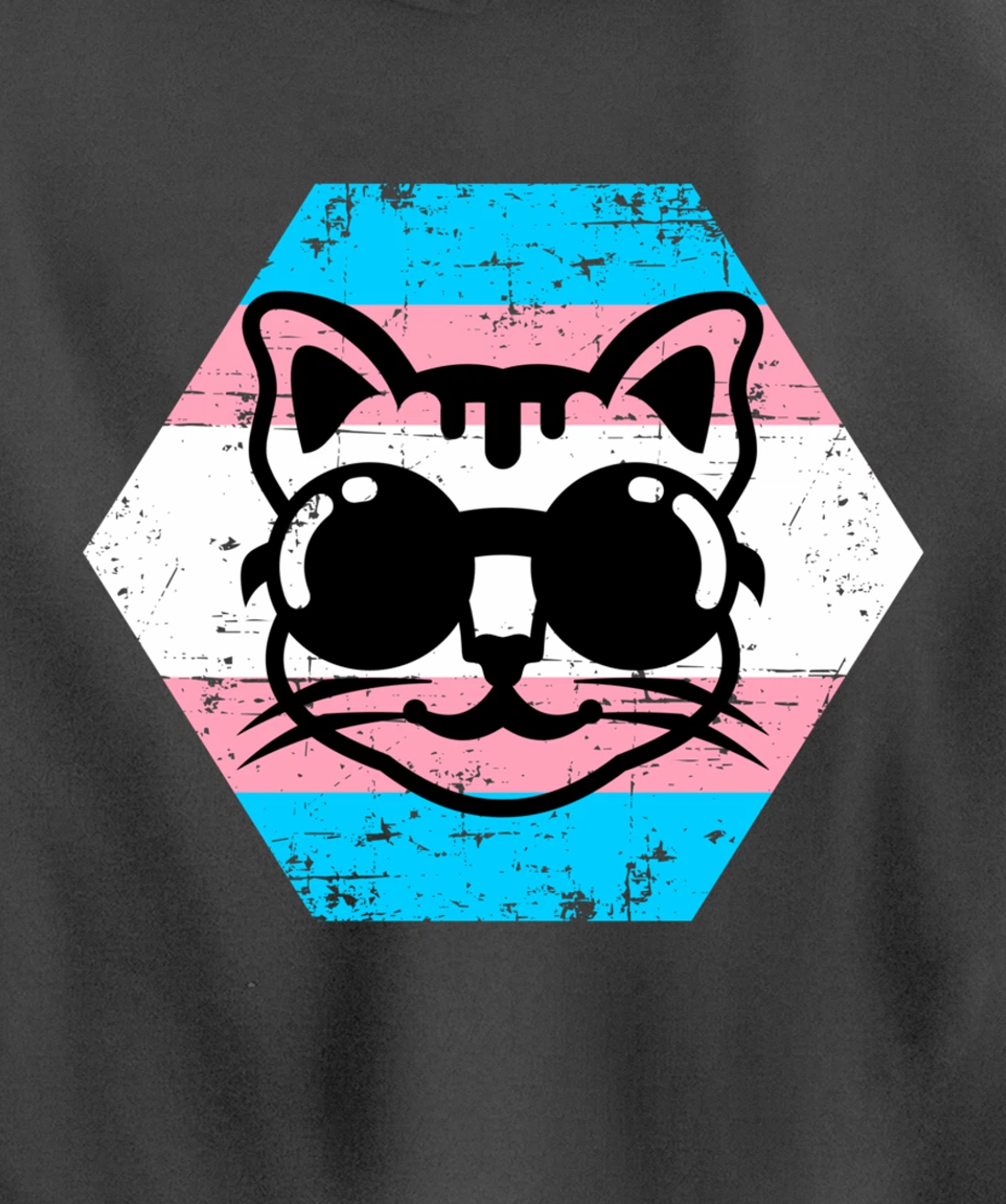 Cool Transgender Cat with Glasses Transgender Flag Pullover Hoodie
