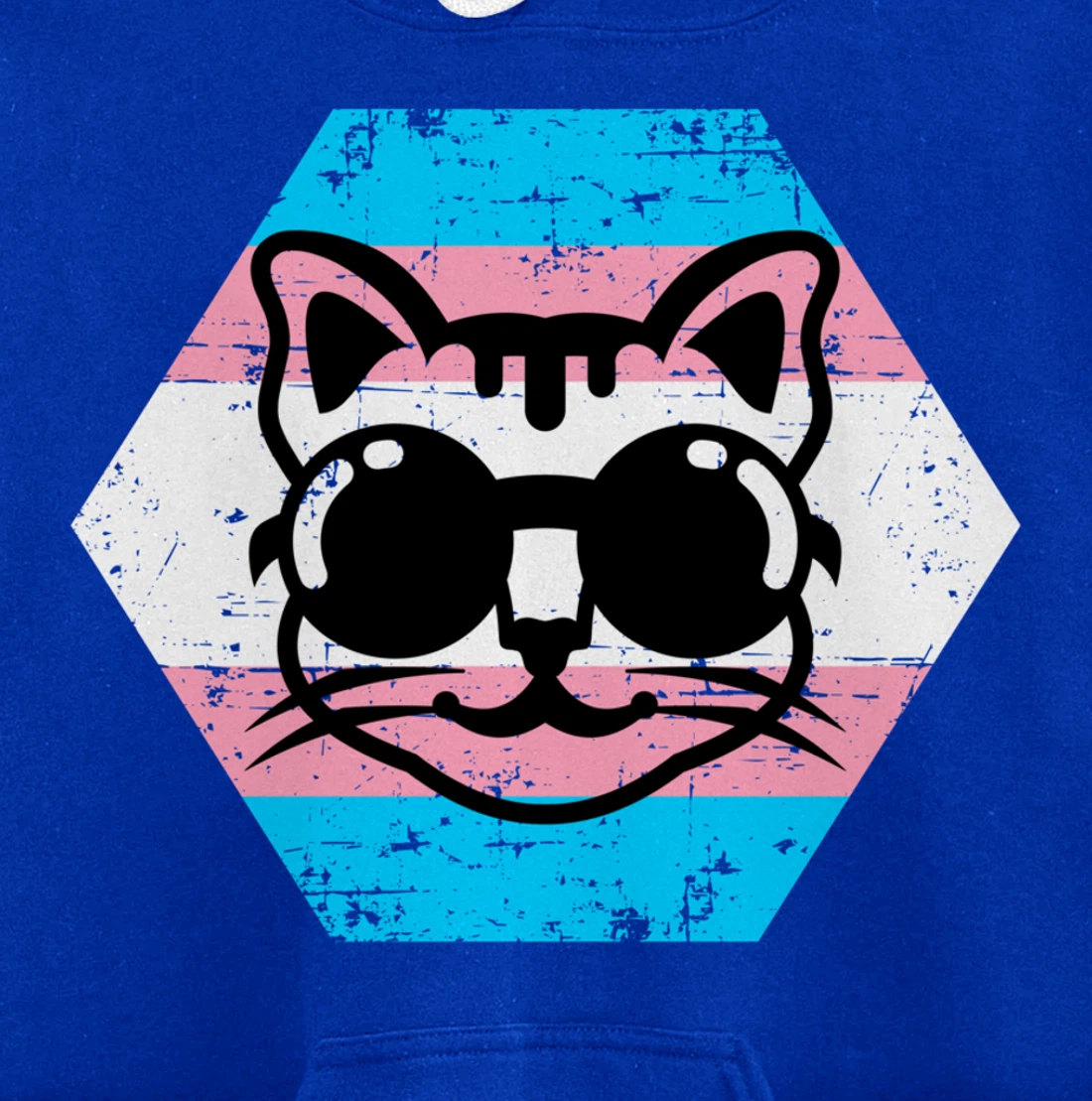 Cool Transgender Cat with Glasses Transgender Flag Pullover Hoodie