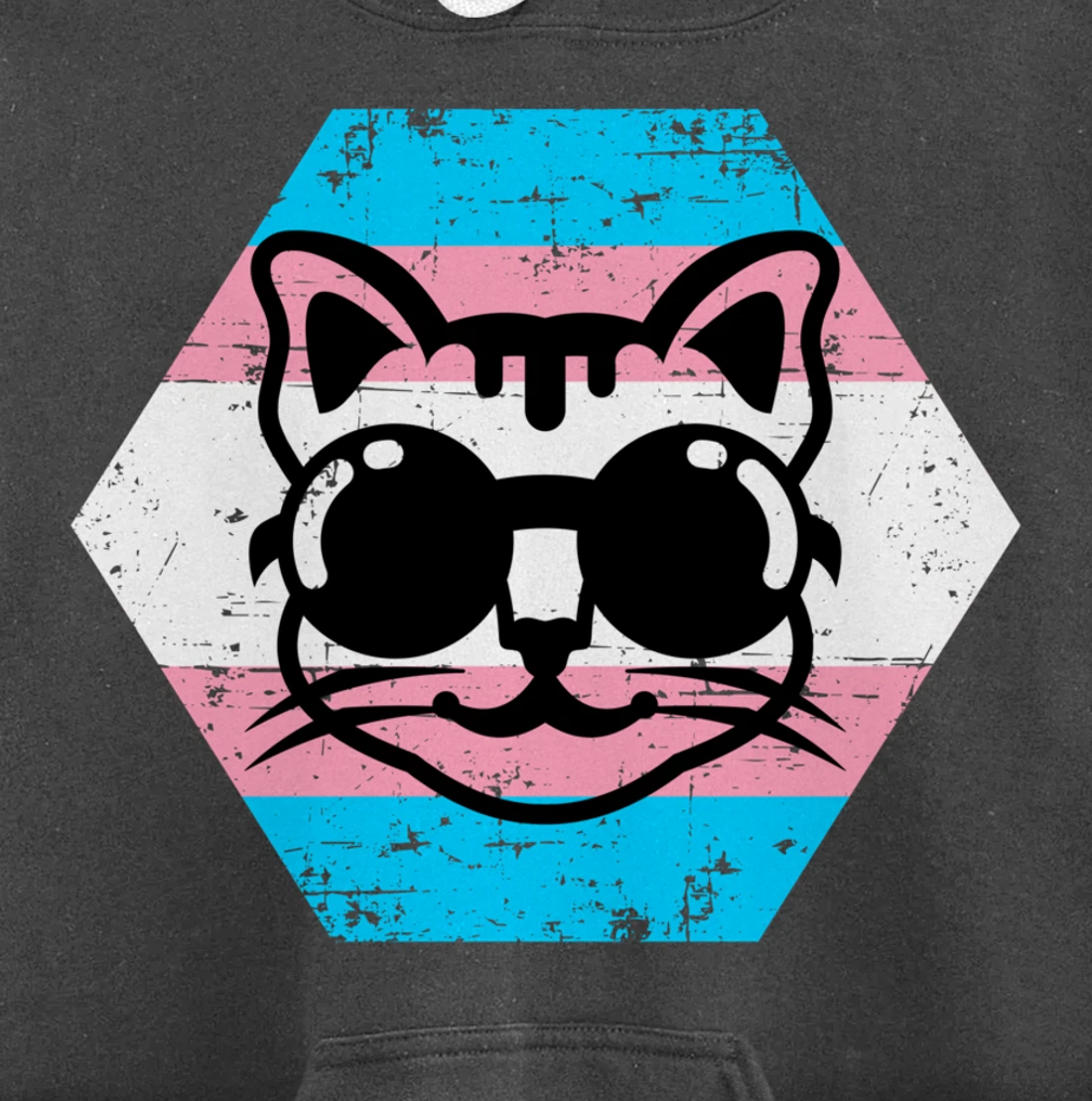 Cool Transgender Cat with Glasses Transgender Flag Pullover Hoodie