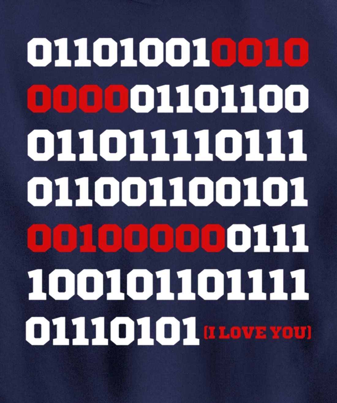 Valentines Day I Love You in Binary Code Programming Pullover Hoodie