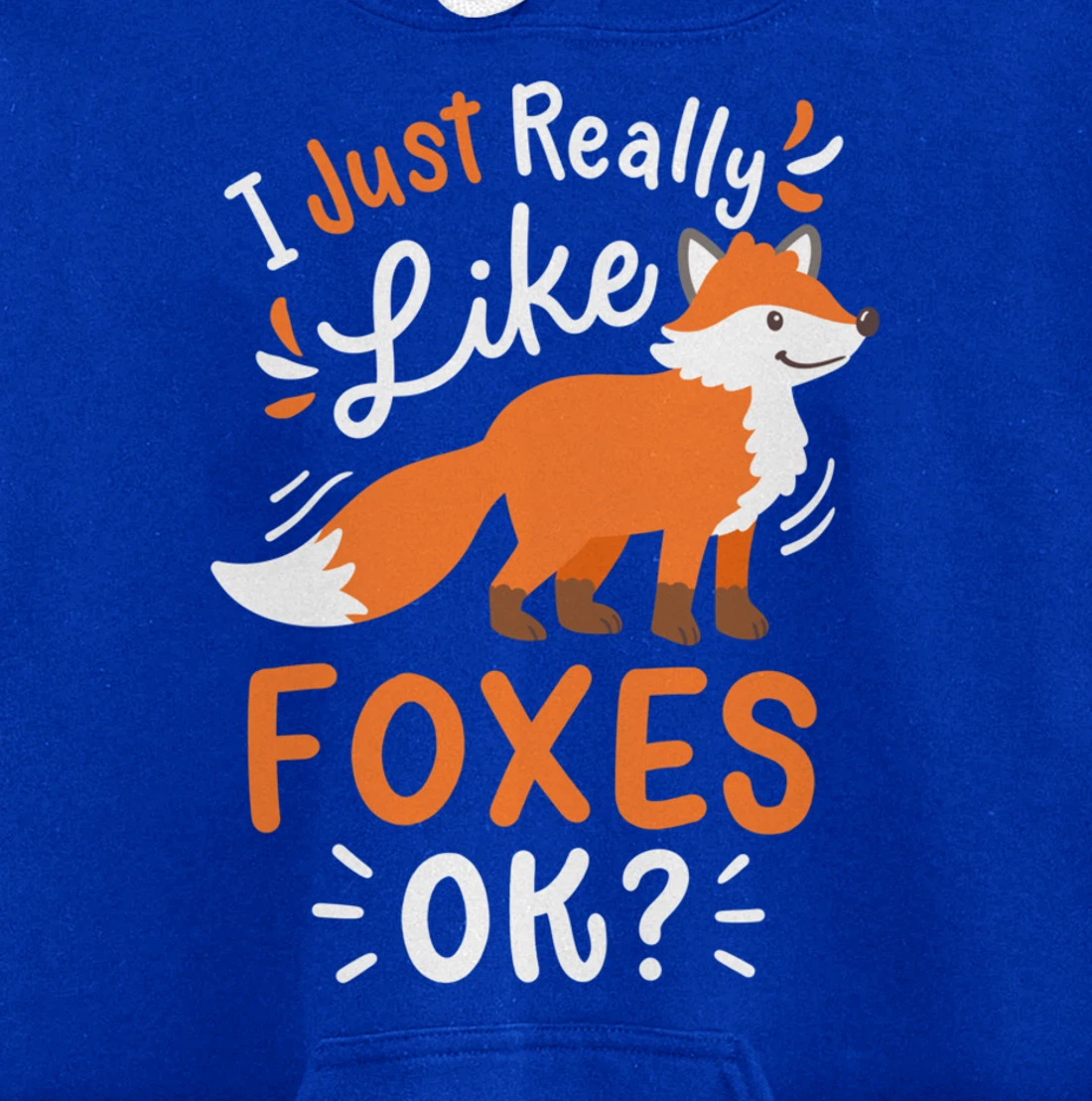 Foxes Fox Lover Pullover Hoodie