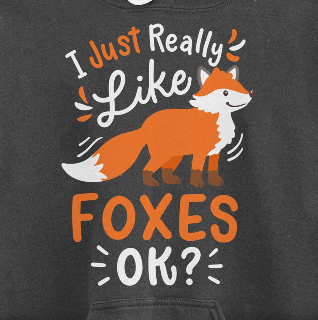 Foxes Fox Lover Pullover Hoodie