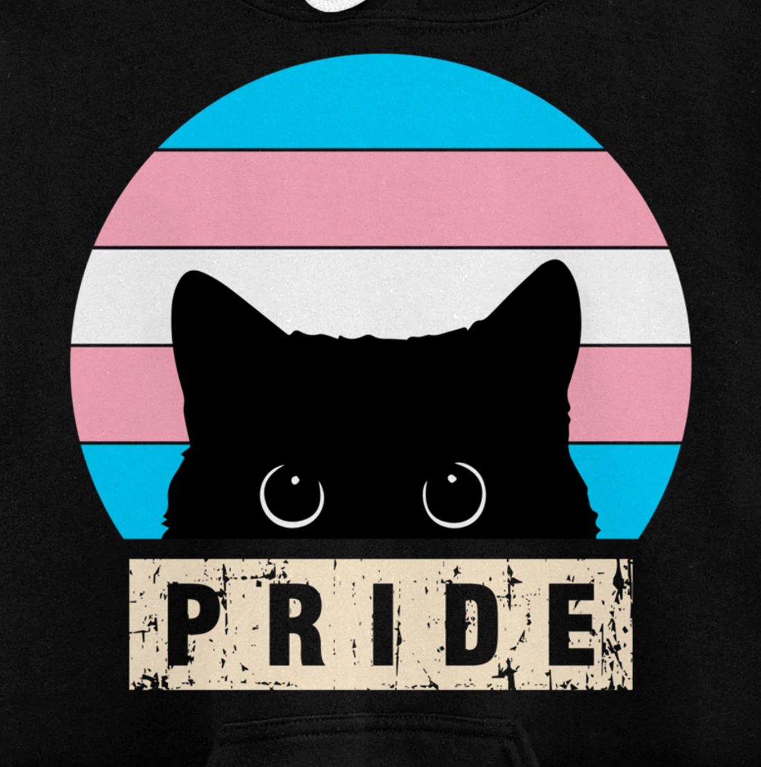 Transgender Cat Pride Transgender Flag Colors Pullover Hoodie