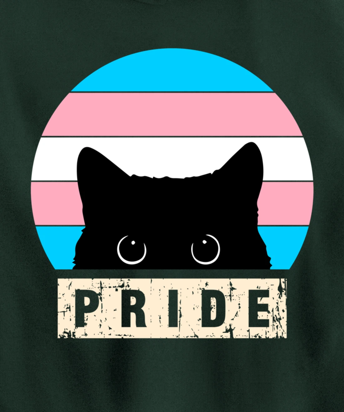 Transgender Cat Pride Transgender Flag Colors Pullover Hoodie