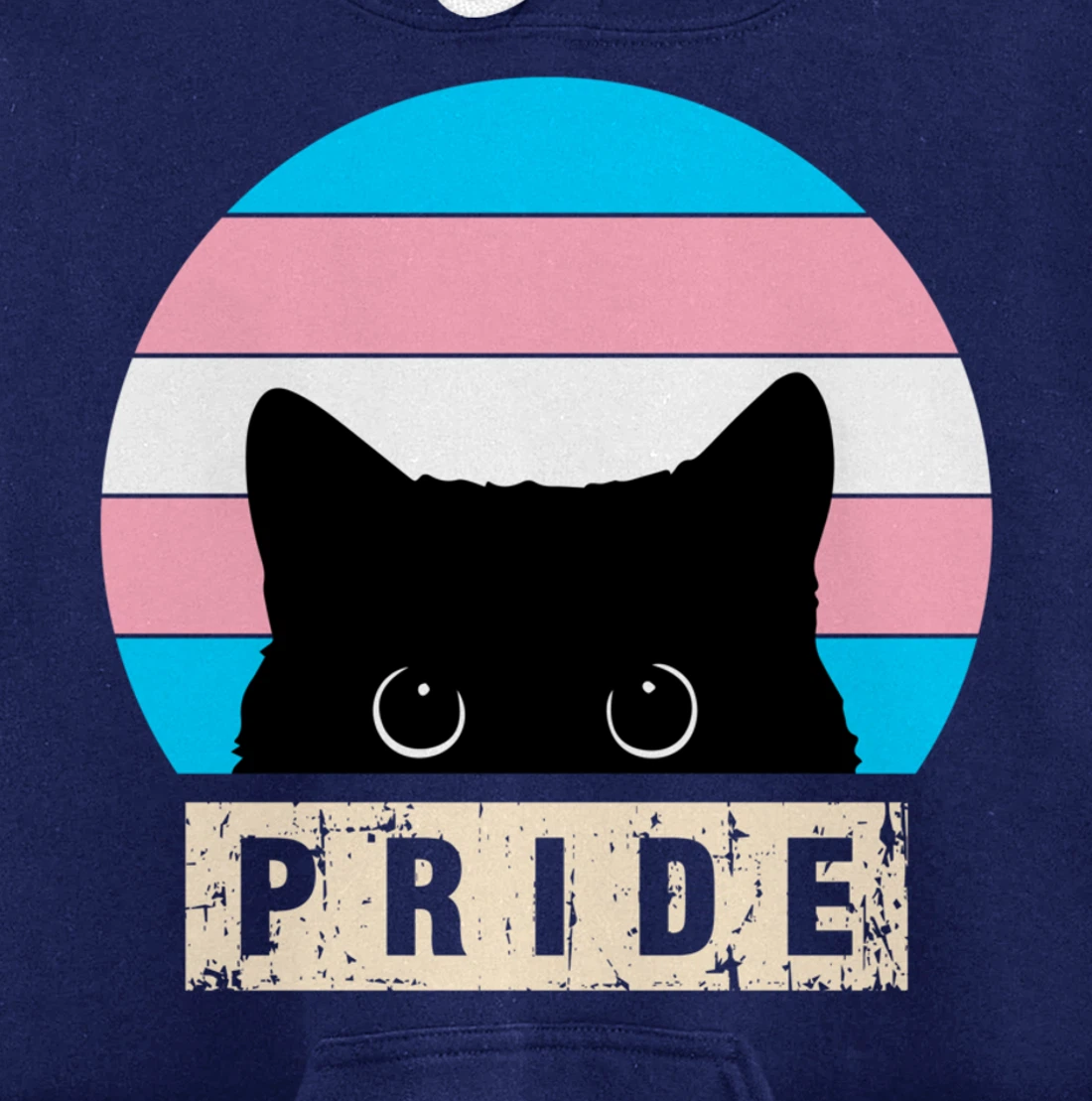 Transgender Cat Pride Transgender Flag Colors Pullover Hoodie