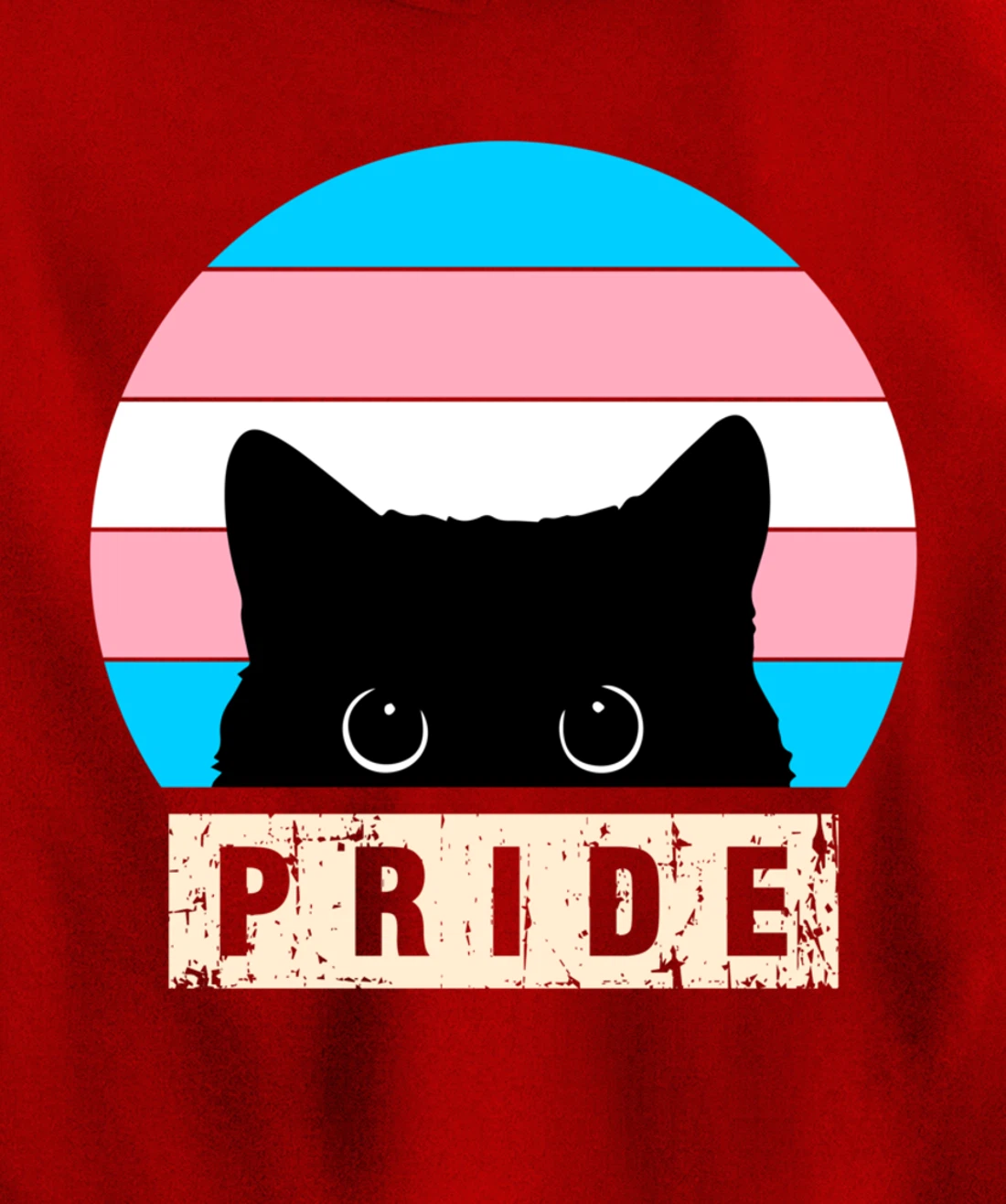 Transgender Cat Pride Transgender Flag Colors Pullover Hoodie