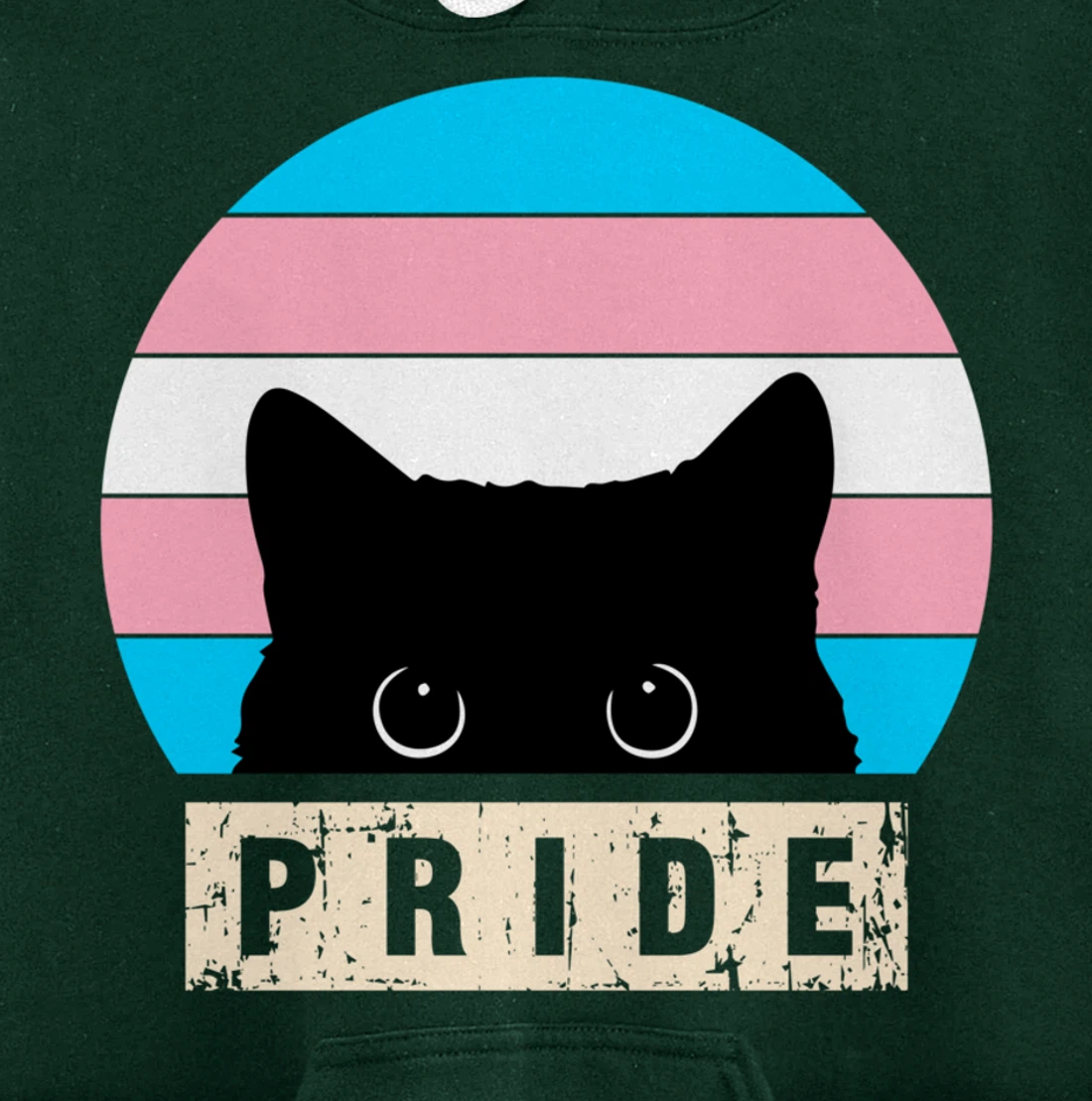 Transgender Cat Pride Transgender Flag Colors Pullover Hoodie