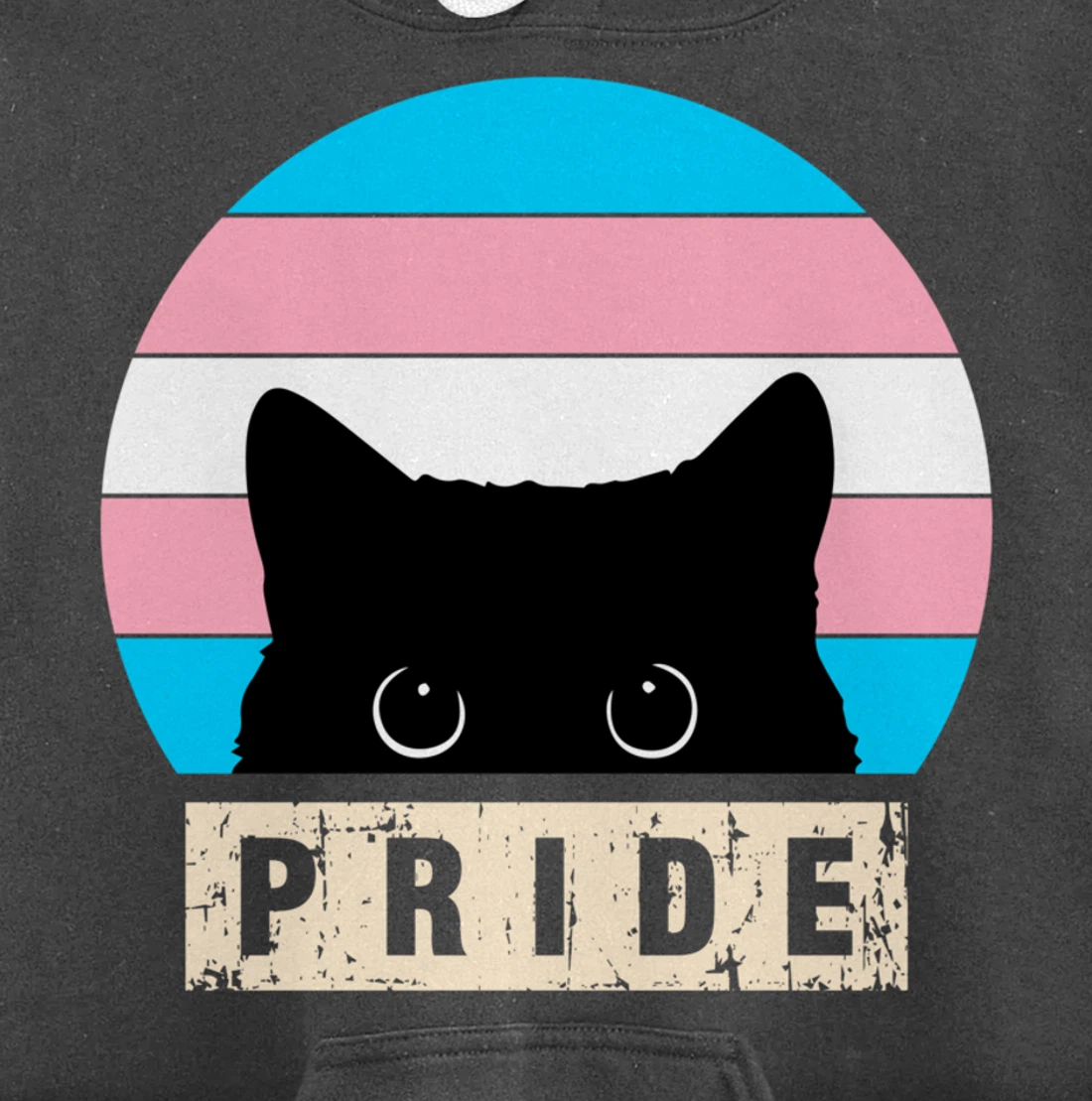 Transgender Cat Pride Transgender Flag Colors Pullover Hoodie