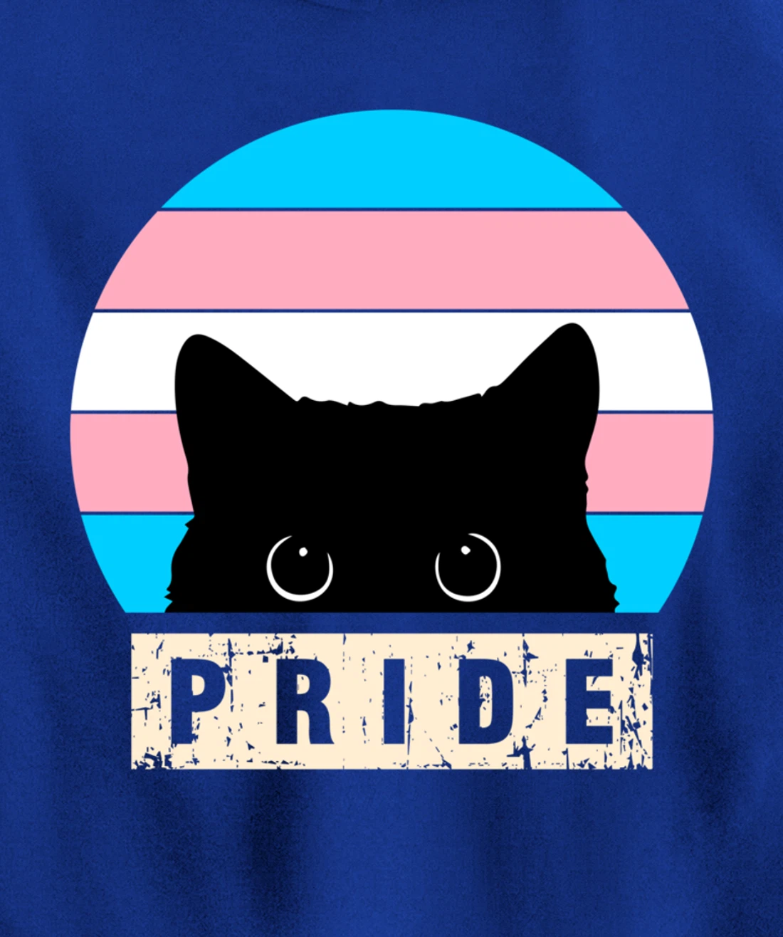 Transgender Cat Pride Transgender Flag Colors Pullover Hoodie
