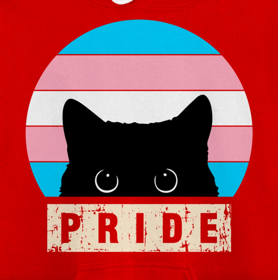Transgender Cat Pride Transgender Flag Colors Pullover Hoodie