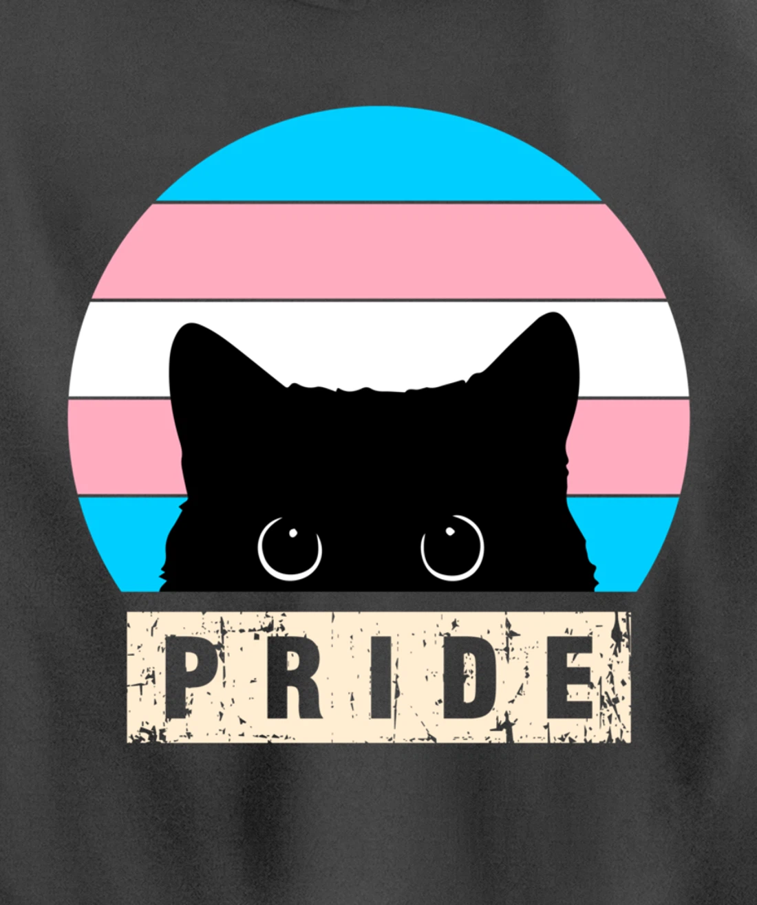 Transgender Cat Pride Transgender Flag Colors Pullover Hoodie
