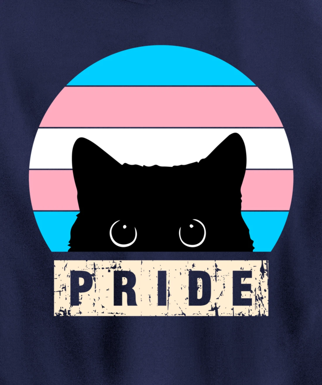 Transgender Cat Pride Transgender Flag Colors Pullover Hoodie