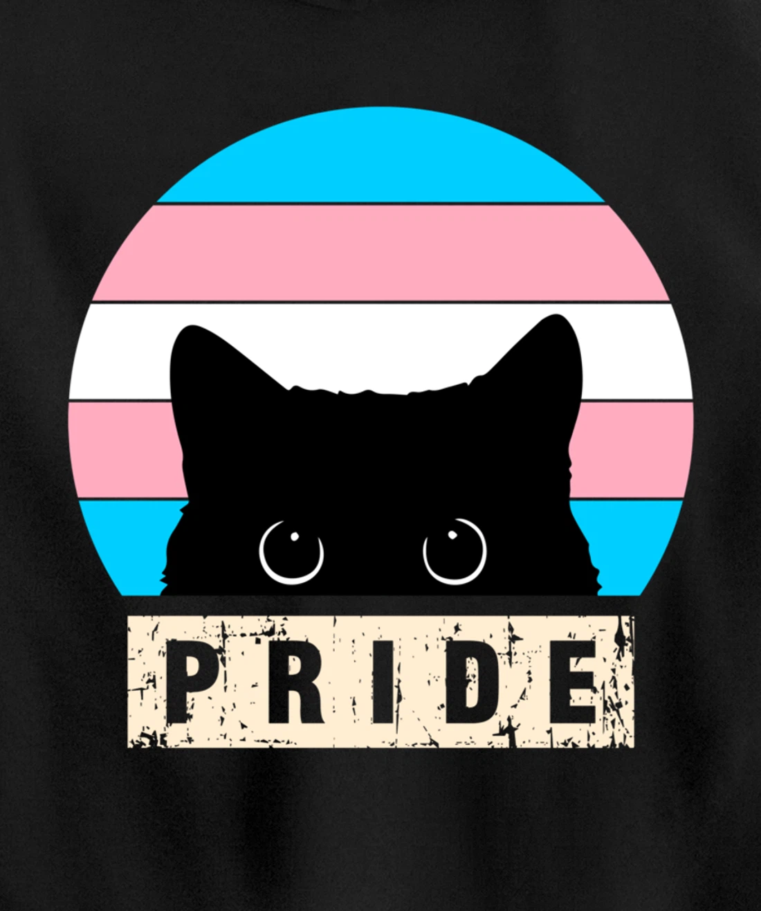 Transgender Cat Pride Transgender Flag Colors Pullover Hoodie