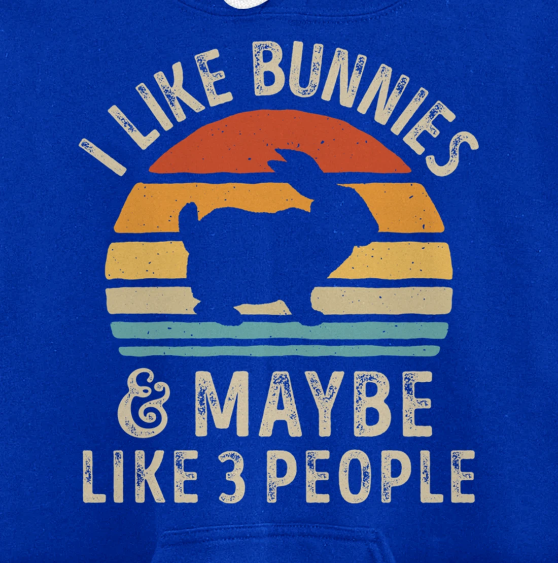 Like Bunnies And Maybe Like 3 People Bunny Rabbit Retro Men Pullover Hoodie