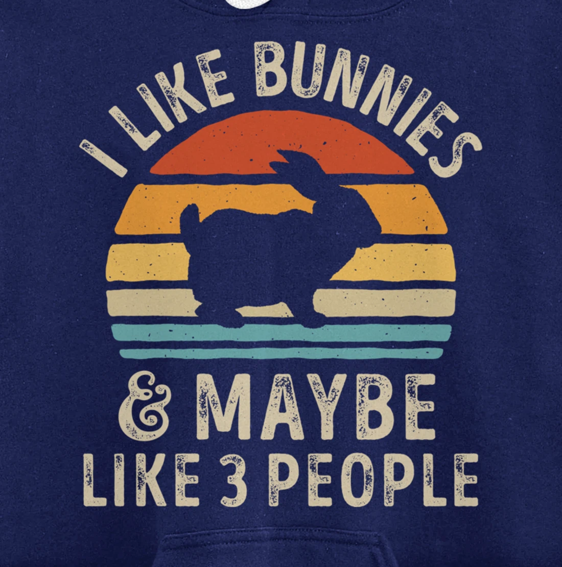 Like Bunnies And Maybe Like 3 People Bunny Rabbit Retro Men Pullover Hoodie