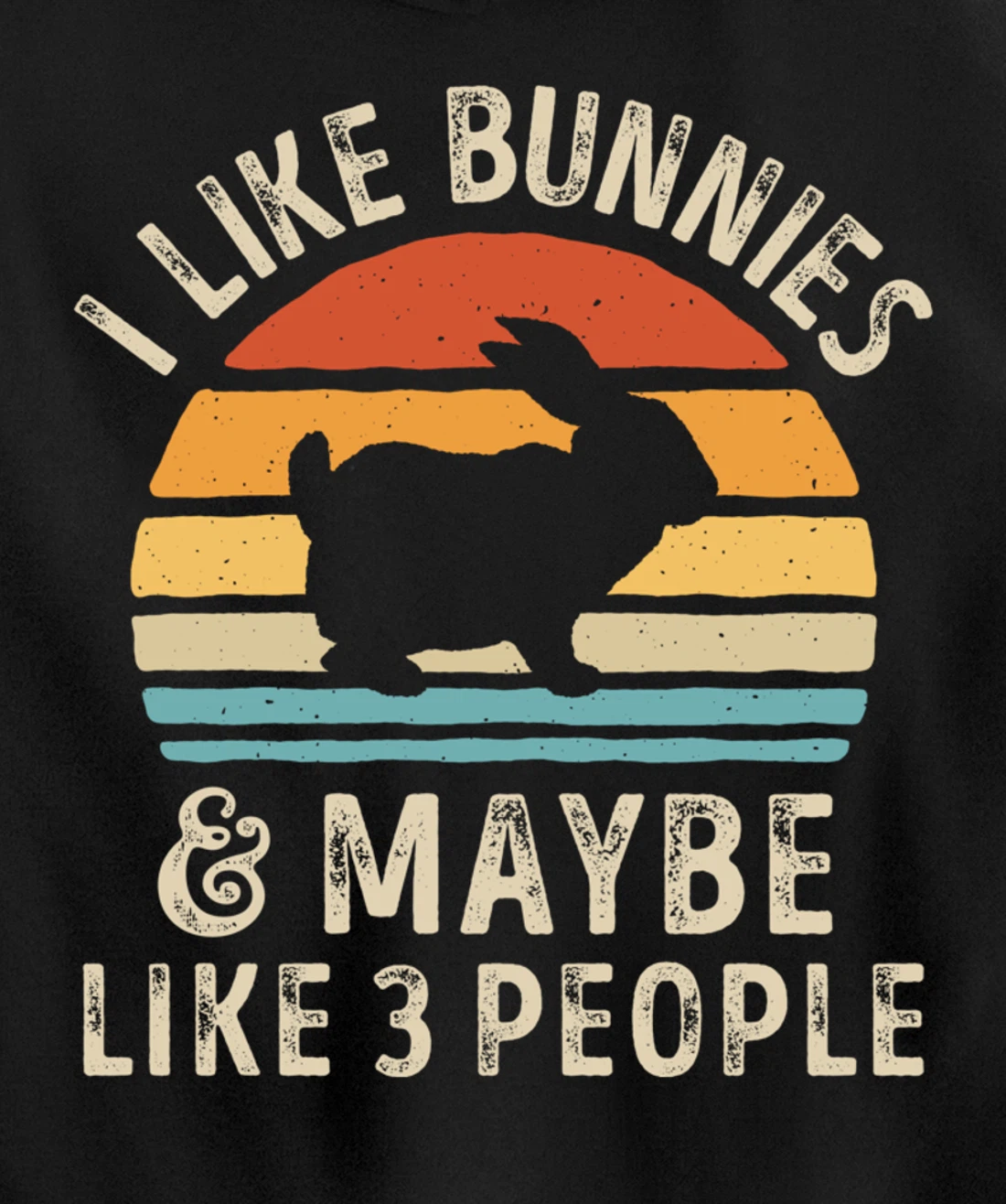 Like Bunnies And Maybe Like 3 People Bunny Rabbit Retro Men Pullover Hoodie