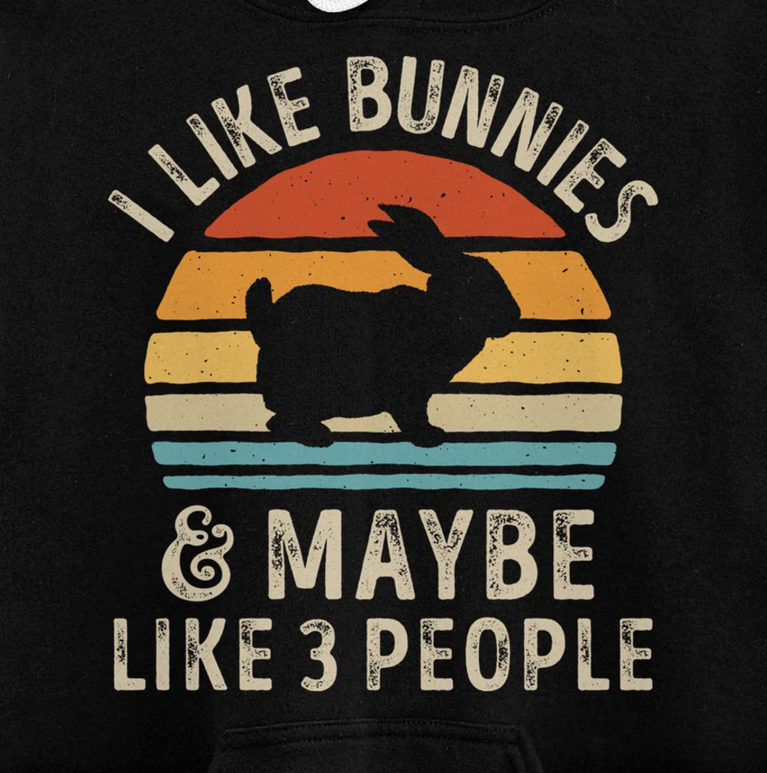 Like Bunnies And Maybe Like 3 People Bunny Rabbit Retro Men Pullover Hoodie