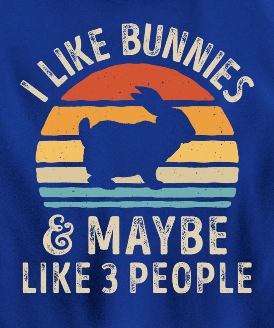 Like Bunnies And Maybe Like 3 People Bunny Rabbit Retro Men Pullover Hoodie