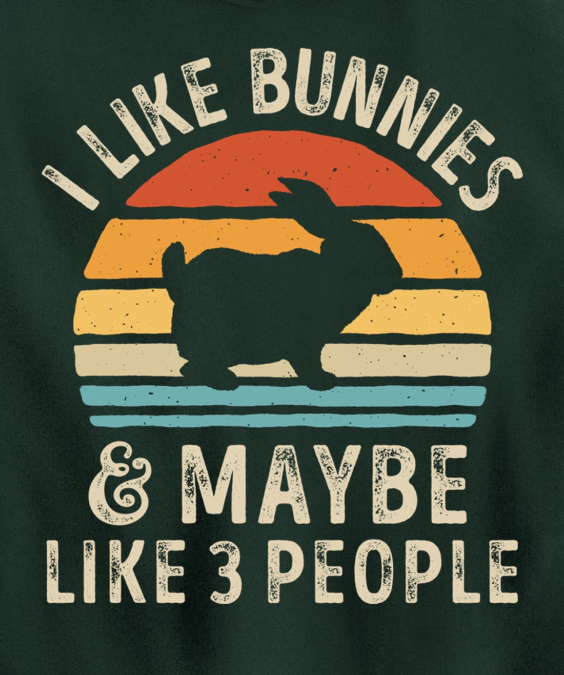 Like Bunnies And Maybe Like 3 People Bunny Rabbit Retro Men Pullover Hoodie