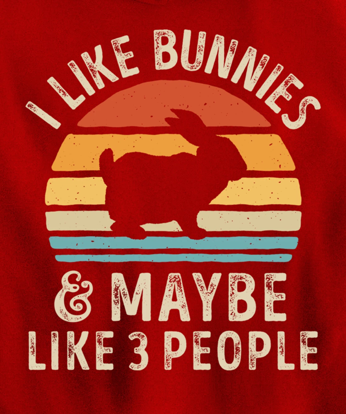 Like Bunnies And Maybe Like 3 People Bunny Rabbit Retro Men Pullover Hoodie