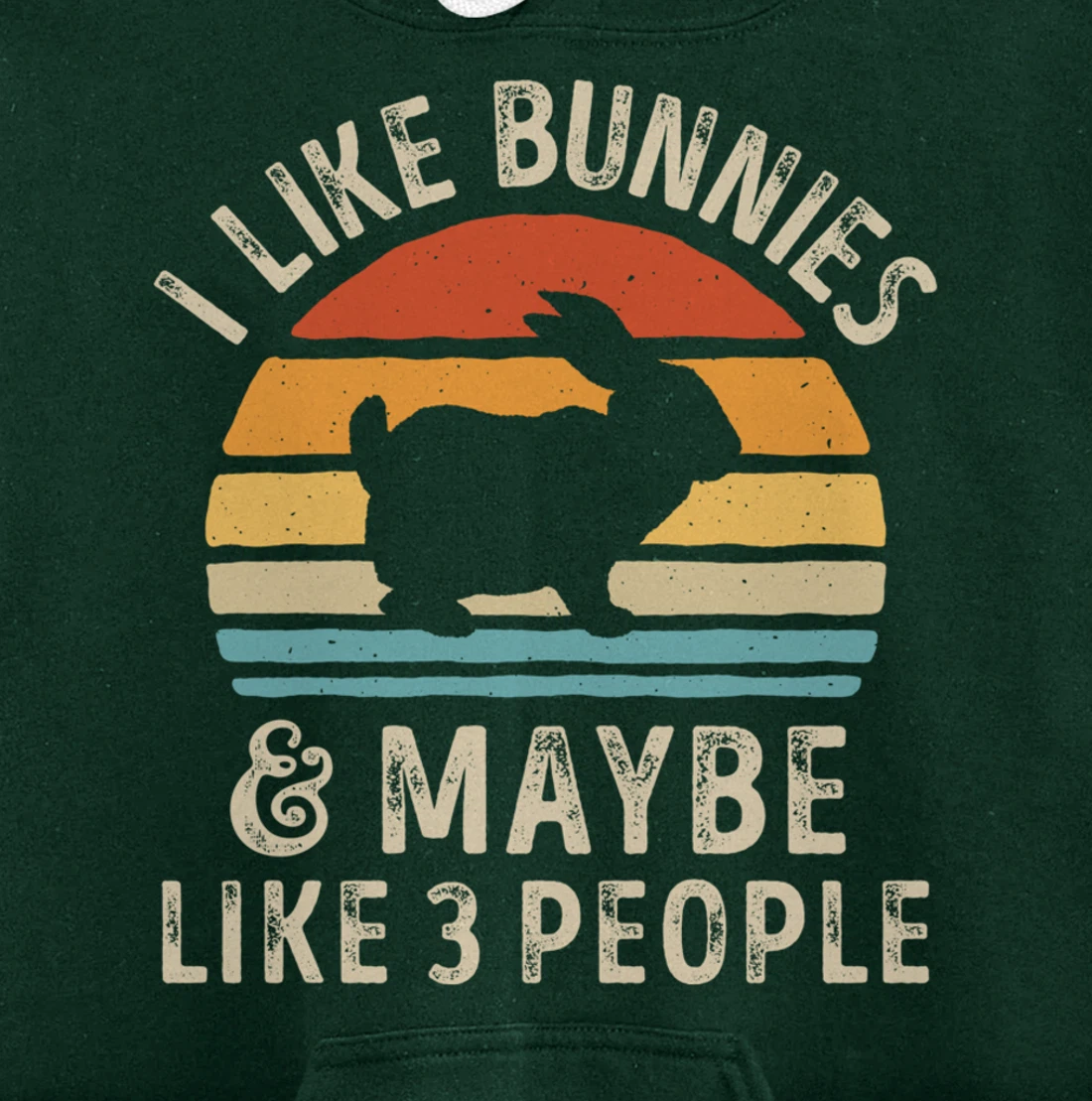 Like Bunnies And Maybe Like 3 People Bunny Rabbit Retro Men Pullover Hoodie