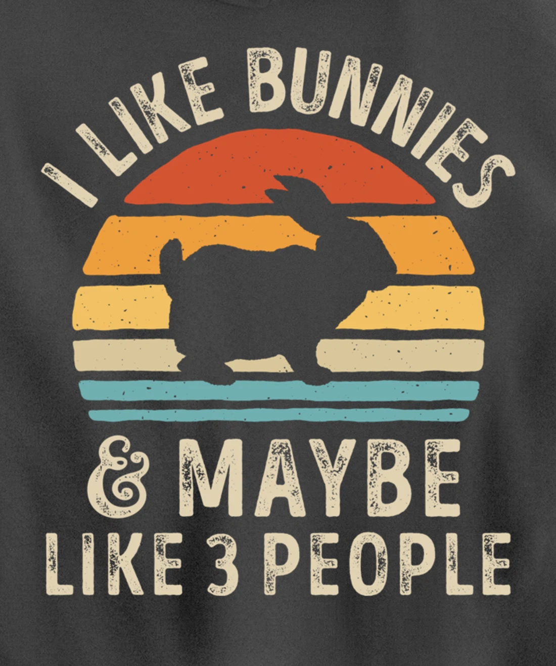 Like Bunnies And Maybe Like 3 People Bunny Rabbit Retro Men Pullover Hoodie