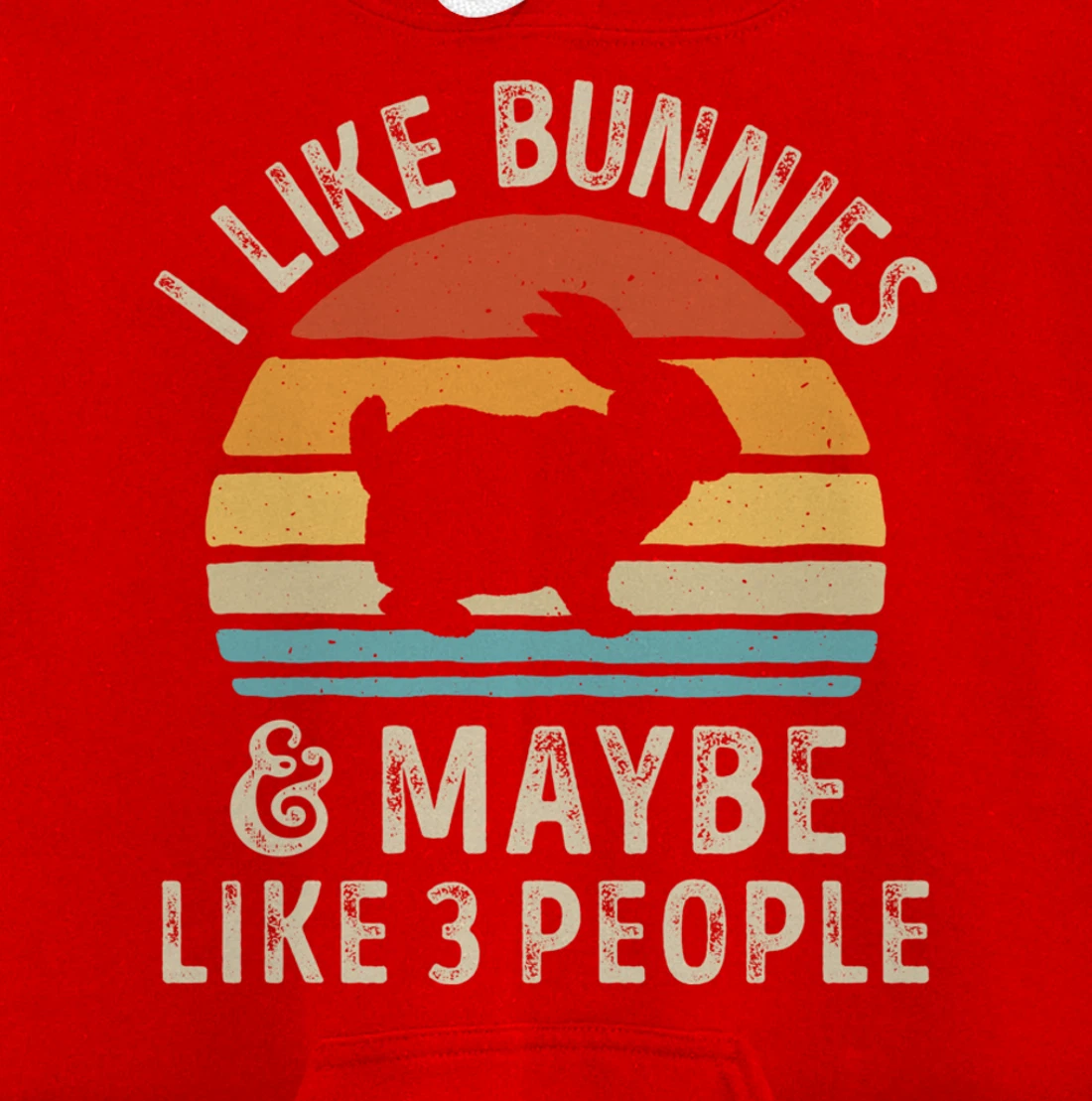 Like Bunnies And Maybe Like 3 People Bunny Rabbit Retro Men Pullover Hoodie