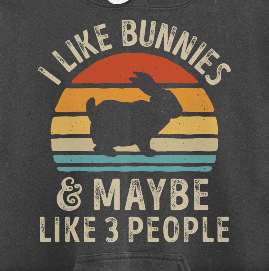 Like Bunnies And Maybe Like 3 People Bunny Rabbit Retro Men Pullover Hoodie