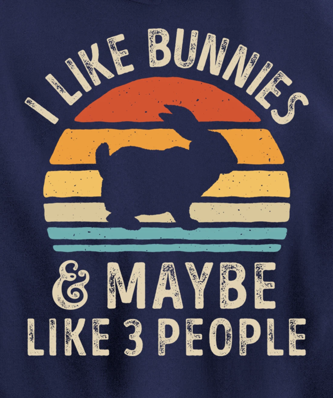 Like Bunnies And Maybe Like 3 People Bunny Rabbit Retro Men Pullover Hoodie