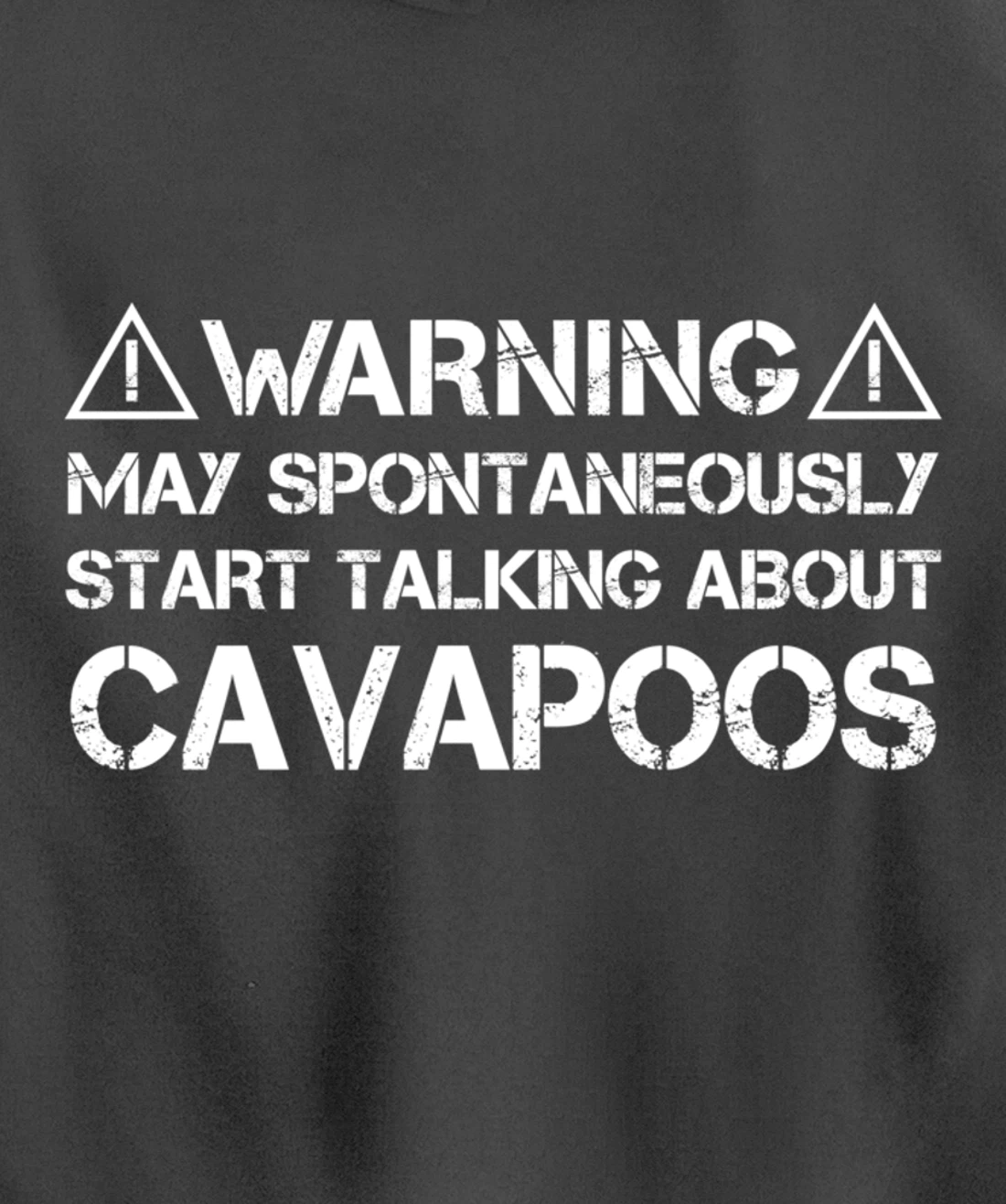 Warning May Start Talking About Cavapoos Cavoodle Pullover Hoodie