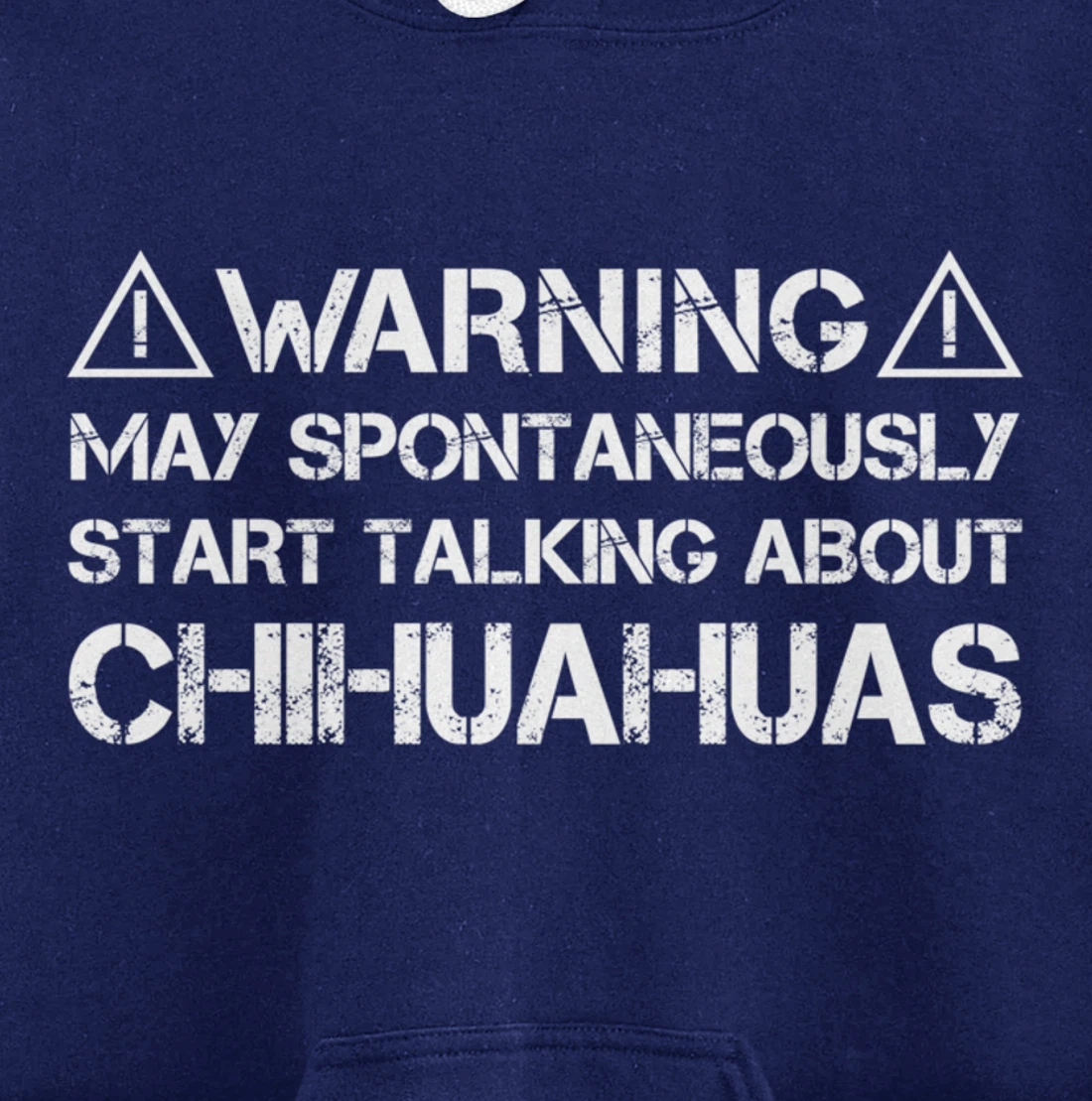 Warning May Start Talking About Chihuahuas Pullover Hoodie