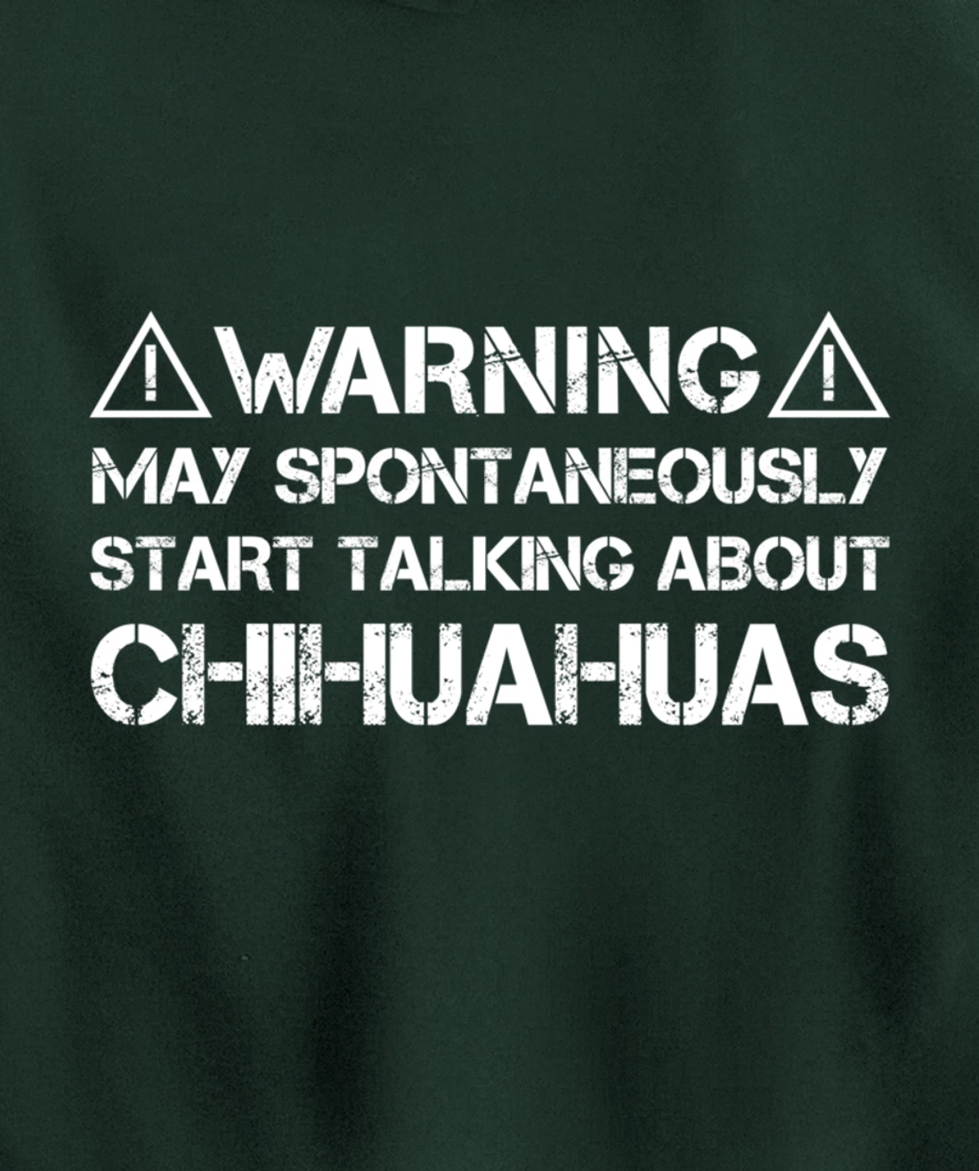Warning May Start Talking About Chihuahuas Pullover Hoodie