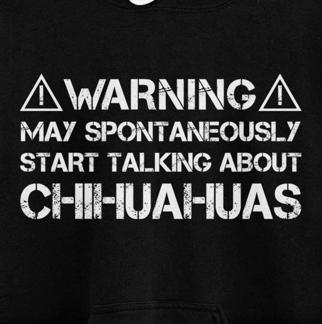 Warning May Start Talking About Chihuahuas Pullover Hoodie