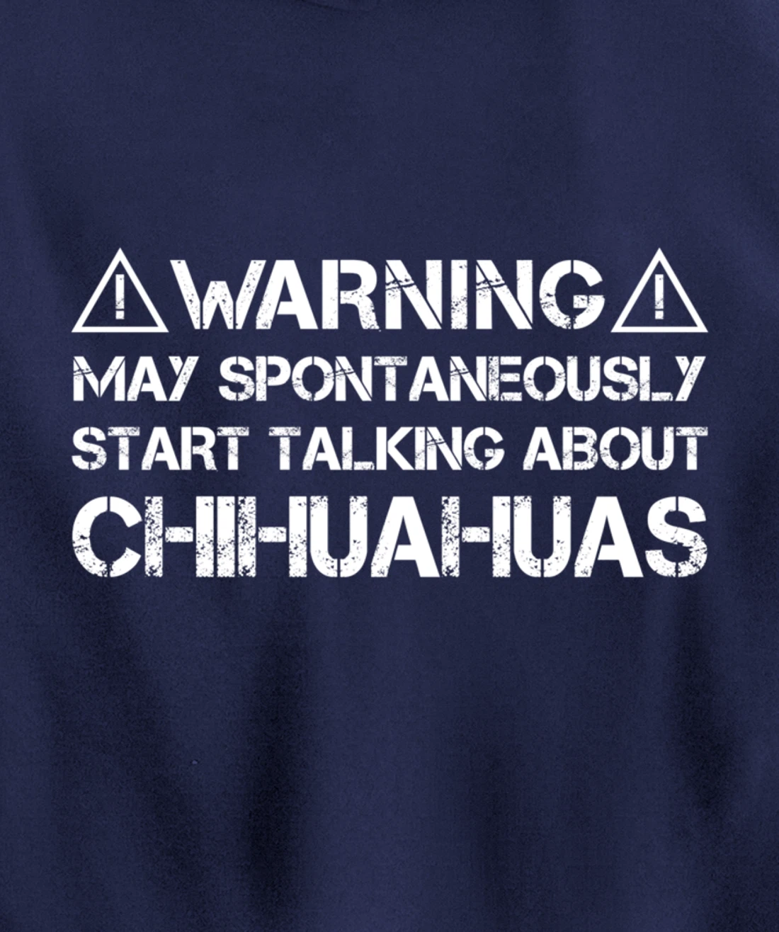 Warning May Start Talking About Chihuahuas Pullover Hoodie