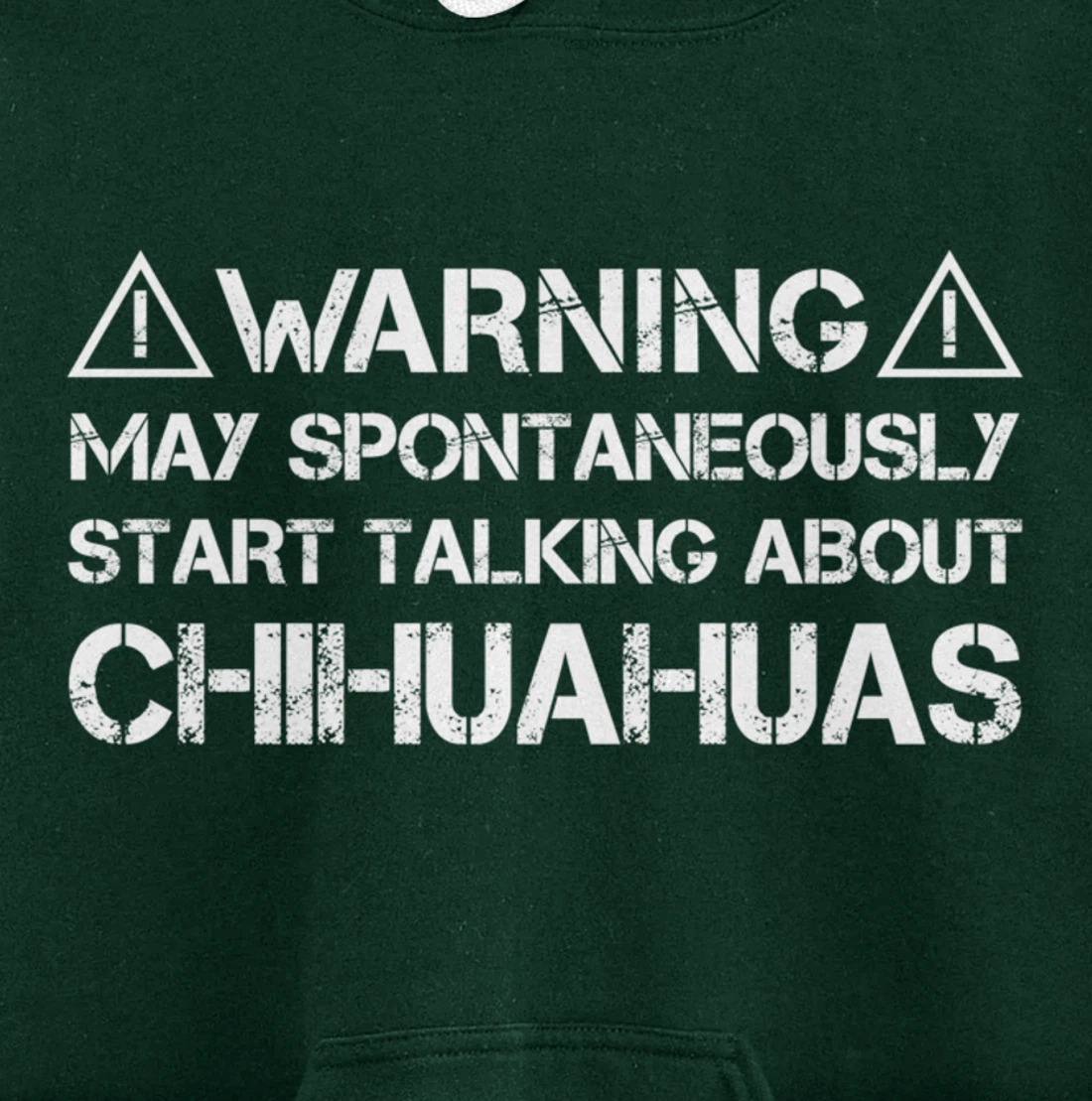 Warning May Start Talking About Chihuahuas Pullover Hoodie