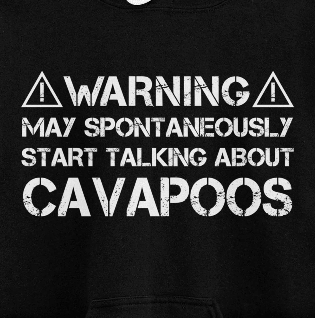 Warning May Start Talking About Cavapoos Cavoodle Pullover Hoodie